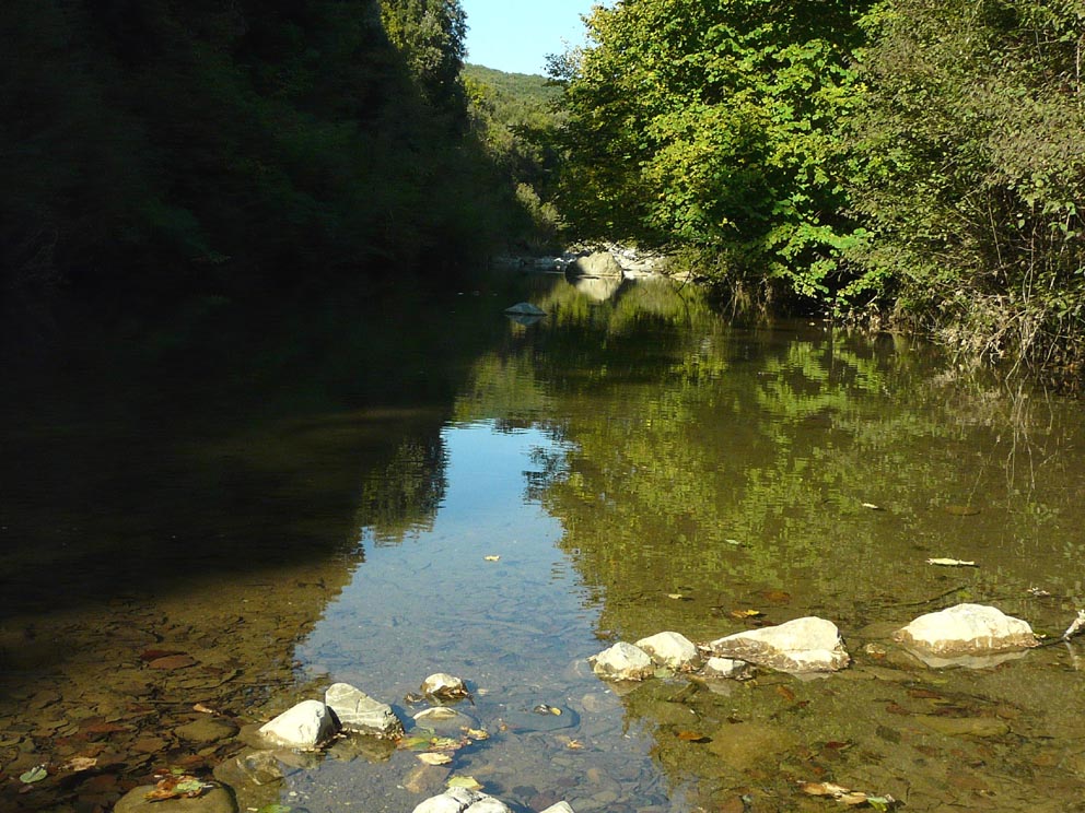 Fiume Milia: pesci da identificare